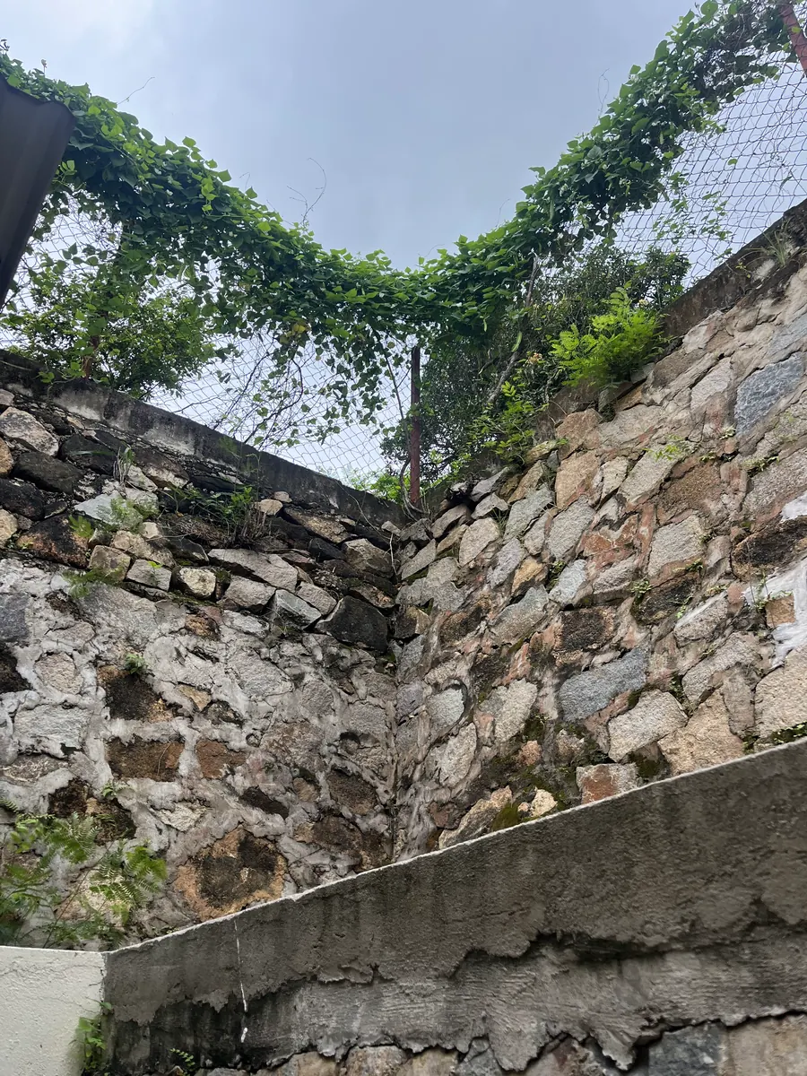 Tường kè đá cao ở góc khuôn viên, phía trên là lưới và cây leo
